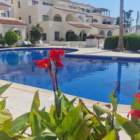 Blue Pearl With Pool In Kato Pafos